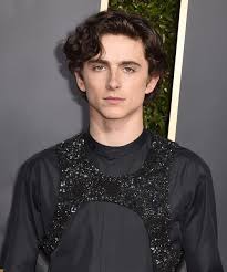 Photos, family details, video, latest news 2020. Timothee Chalamet Explains Sequined Harness Outfit