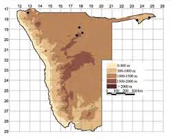 Image result for Periglossum mackenii