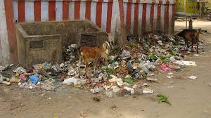 Camilla araujo thefanbus - Best adult videos and photos