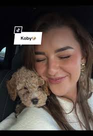 Ontmoet Koby: Jouw Nieuwe Maltipoo Pupil