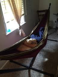 The hammaka hammock hitch stand takes leisure to a whole new level. Portable Hammock Stand Daring Feets