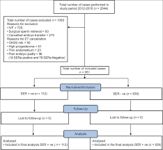 Live Birth Rates In In Vitro Fertilization Cycles With