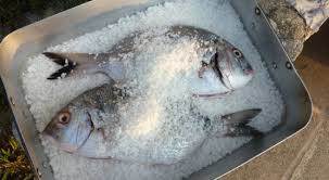 Dorada A La Sal De Karlos Arguinano