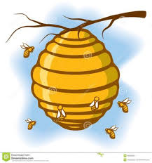 High quality foods are available for nearly all pet types whether you have a dog, cat, reptile, fish, small animal or feathered friend. All Pest Services 1616 Se 1st Street Ter Blue Springs Mo Pest Control Mapquest
