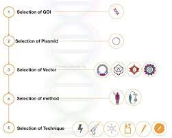 Steps And Process Of Gene Therapy Gene Therapy Therapy Somatic Cell