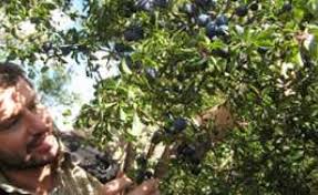 3 oak street newburyport ma 01950. Big Problems Need Small Solutions