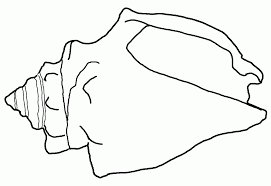Function to improve ph and increase the productivity of plant growth. Sea Shells Coloring Pages Coloring Home