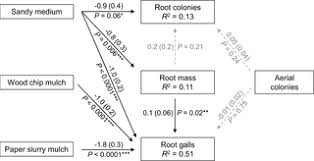 It is important to know, that he started his literary career with long short stories, and the apple tree, which was published in 1917, is one of the most popular. Effects Of Restricting Movement Between Root And Canopy Populations Of Woolly Apple Aphid