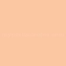 We did not find results for: Para Paints B283 1 Onion Skin Precisely Matched For Paint And Spray Paint
