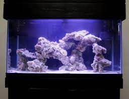The rock itself is very porous. Live Rock Aquascape Designs Live Rock Set Up Idea Fish Tank For The Kids Reef Aquascaping Saltwater Tank Setup Reef Tank Aquascaping