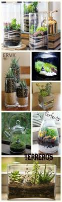 Trendy Kitchen Vintage Green Window Ideas Succulents Diy Succulent Terrarium Mini Garden