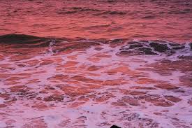 A collection of the top 63 ocean laptop wallpapers and backgrounds available for download for free. Hd Wallpaper View Of Body Of Water Ocean Waves Sea Sunshine Vsco Backgrounds Wallpaper Flare