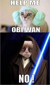 Grumpy Cat Star Wars Help Me Obi Wan No Dump A Day Funny Grumpy Cat Memes Grumpy Cat Meme Grumpy Cat Humor
