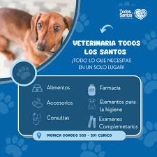 Clínica Veterinaria Todos Los Santos