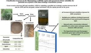 Image result for Pogonarthria squarrosa