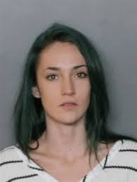 Canine Alert Leads to Felony Drug Charges During Traffic Stop