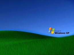 Turf guard window film protects your artificial turf, natural grass, and vinyl siding by reducing the sun's damaging reflection off of your home or business's windows. Windows Grass Wallpapers Group 66