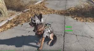 Where Do I Get Armor For Dogmeat In Fallout 4 Arqade Dr 15, energy resist 15 dog armor: armor for dogmeat in fallout 4