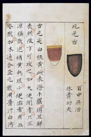 File C14 Chinese Tongue Diagnosis Chart Wellcome L0039597