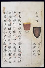 file c14 chinese tongue diagnosis chart wellcome l0039597