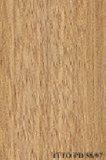 Image result for Scorodophloeus