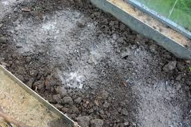 Place tin cans filled with wood ash in those dank, musty corners around your home and garage to pull moisture out of the air. 22 Helpful Wood Ash Uses In The Garden Balcony Garden Web