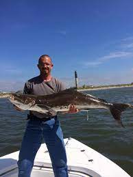 Pin By Michael Queen On Fish Fish Big Fish Hunting