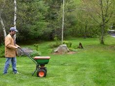 We have 3524 homeowner reviews of top westwood lawn care services. 71 Lawn Care Westwood Turf Farm Ideas Lawn Care Lawn Lawn Care Tips