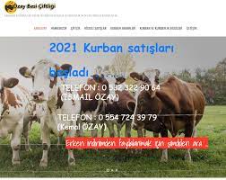 kurbanlik satisi kurban fiyatlari hisseli kurbanĺik 2021 egitim web tasarim gercekler