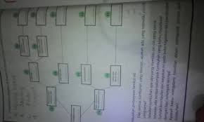 We did not find results for: Lengkapilah Diagram Diatas Ini Dengan Jenis Tumbuh Tumbuhan Tersebut A Kacang Brainly Co Id
