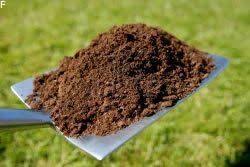 Kaffeesatz Im Garten Als Dunger Diese Pflanzen Lieben Ihn Kaffeesatz Gartendunger Rasenbelufter