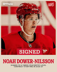 Detroit - UPDATE: The #RedWings have signed Noah Dower-Nilsson to a  three-year, entry-level contract beginning with the 2026-27 season. |  Facebook