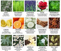 Aromatherapy Essential Oil Chart University Health News