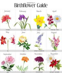 Birth Month Flower Necklace August Google Image Result For Https I Pinimg Com Originals 20 D6 6e 20d66edb98c2269f468b9f21bce63914 Jpg In 2020 Birth Flowers Birth Month Flowers Month Flowers