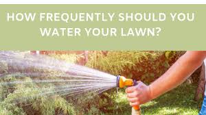 How much does it cost to water your lawn? How Frequently Should You Water Your Lawn Mellco Landscaping
