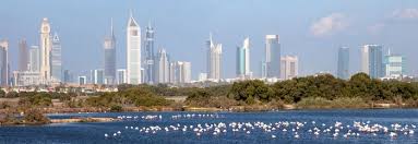 Current, historical, and projected population, growth rate, immigration, median age, total fertility rate (tfr), population density, urbanization, urban population. Animal Relocation To United Arab Emirates Pet Shipping Services Air Transport Animal