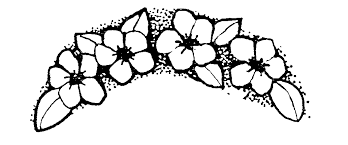 Pin By Nihat Varli On Colour Flower Art Flower Clipart Free Clip Art