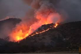 Upload, livestream, and create your own videos, all in hd. Incendios Forestales En Jalisco Van En Decrecimiento Semadet Guadalajara W Radio Mexico
