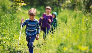 A deck of playing cards is great to bring camping, especially when backpacking, because it takes up so little room and there are so many games you can play. 10 Fun Easy Camping Games That Everyone Can Enjoy Gore Tex Brand