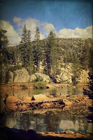 Beauty You Find Along the Way Throw Pillow