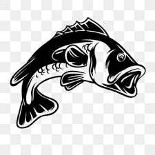 Bass Fish Silhouette Illustration For Fishing Hobby Bass Fish Fishing Png And Vector With Transparent Background For Free Download Fish Silhouette Silhouette Illustration Fish Illustration