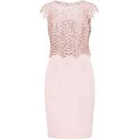 This is called a state of equilibrium. Sch4u Answers