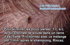 Epingle Sur Pas Mal