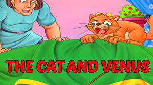 Venus is a chimera cat and she is taking the internet by storm. The Cat And Venus Moral Stories For Kids In English Youtube
