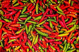 Ternyata cabe rawit sangat mudah ditanam. 5 Cara Menanam Cabe Dengan Mudah Anti Gagal
