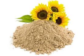 Your youngest patrons will enjoy admiring and munching on these exciting blossoms. Sunflower Lecithin Powder Manufacturers Suppliers Exporters Uk Italy Parshva Exim
