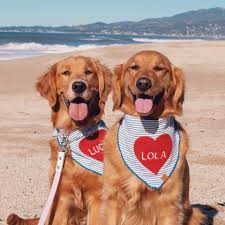 Profile for Our Loving Lola