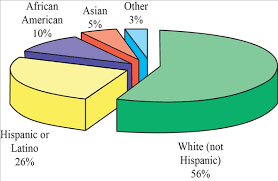 solved ethnic diversity compare exercise 49 the followi