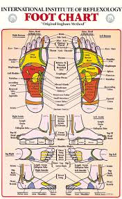 International Institute Of Reflexology Foot Chart Foot