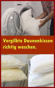 vergilbte daunenkissen richtig waschen richtig waschen daunenkissen hausreinigungs tipps